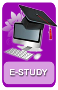 estudy